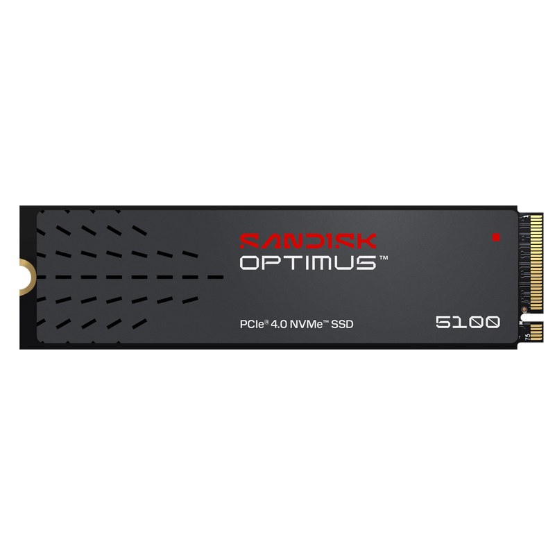 SSD-Speicher — SanDisk Optimus 5100 500 GB