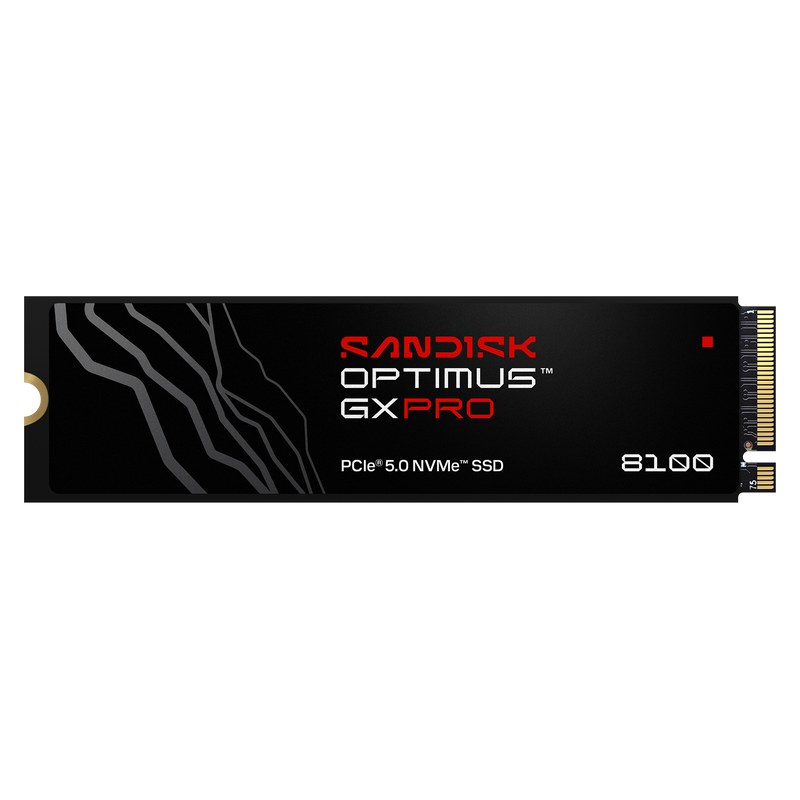 Stockage SSD — SanDisk Optimus GX PRO 8100 1 To